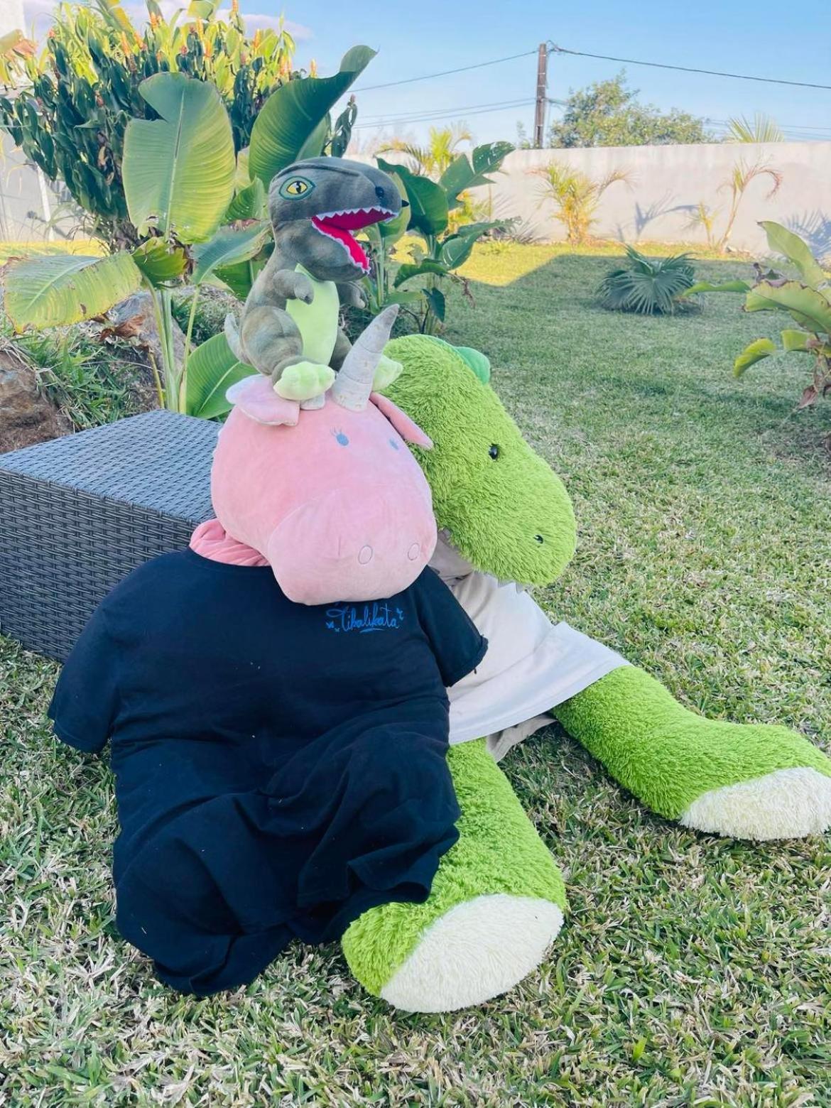 סיינט ג'וזף La Villa Tikalikata מראה חיצוני תמונה